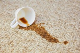 How to Clean Carpets Without Machines