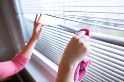 Cleaning Blinds: Guide for All Types