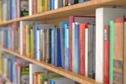 Cleaning Bookshelves and Books: The Ultimate Guide